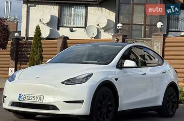 Позашляховик / Кросовер Tesla Model Y 2021 в 