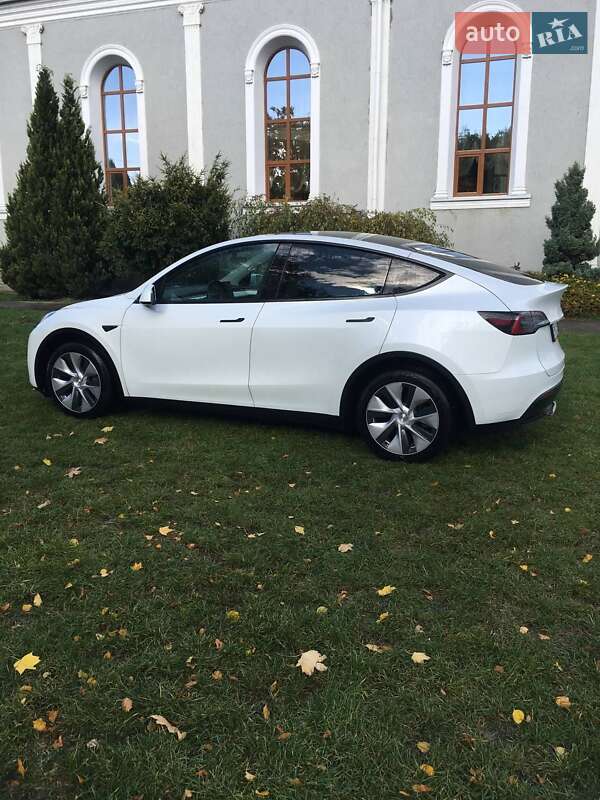 Внедорожник / Кроссовер Tesla Model Y 2022 в Каменец-Подольском