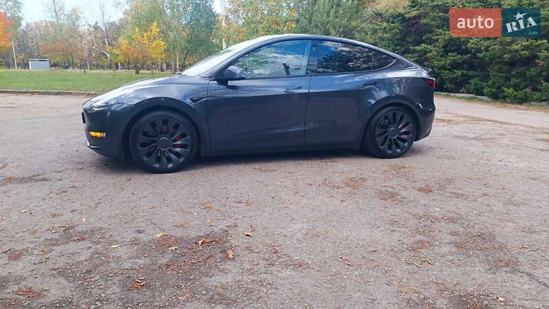 Внедорожник / Кроссовер Tesla Model Y 2024 в Харькове