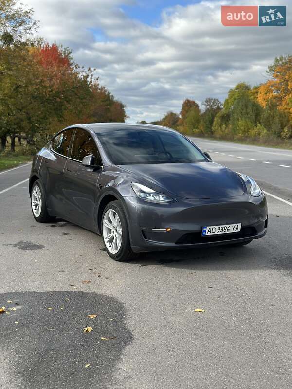 Внедорожник / Кроссовер Tesla Model Y 2023 в Виннице
