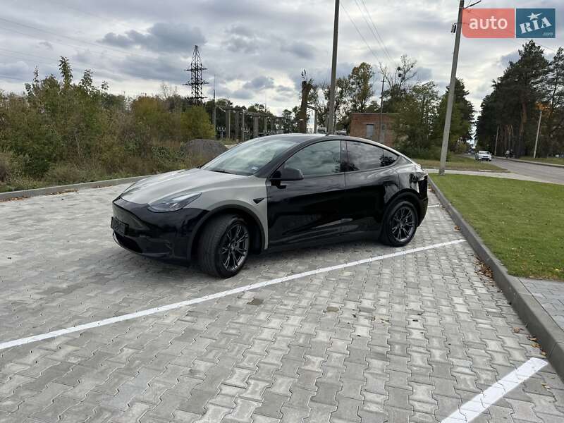 Внедорожник / Кроссовер Tesla Model Y 2024 в Сарнах