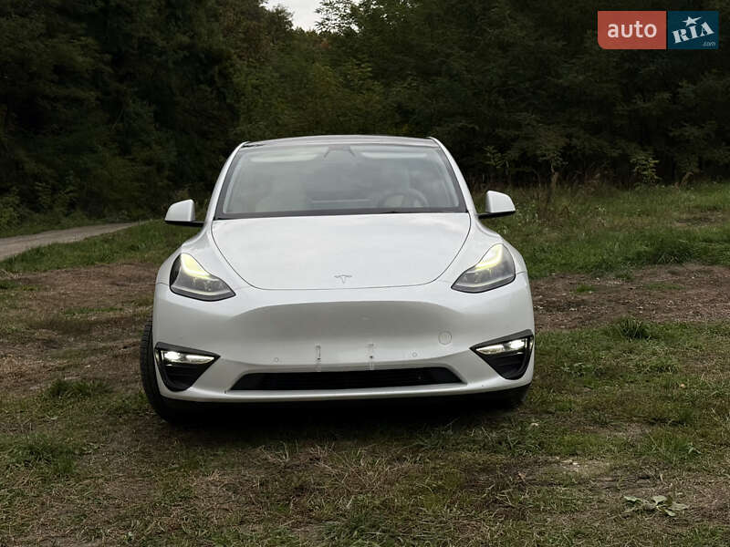 Позашляховик / Кросовер Tesla Model Y 2022 в Городку фото 3 Позашляховик / Кросовер Tesla Model Y 2022 в Городку