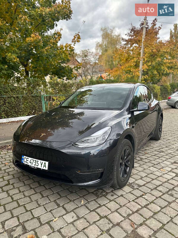 Внедорожник / Кроссовер Tesla Model Y 2024 в Черновцах
