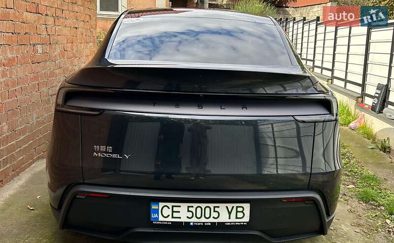 Позашляховик / Кросовер Tesla Model Y 2025 в Чернівцях фото 4 Позашляховик / Кросовер Tesla Model Y 2025 в Чернівцях