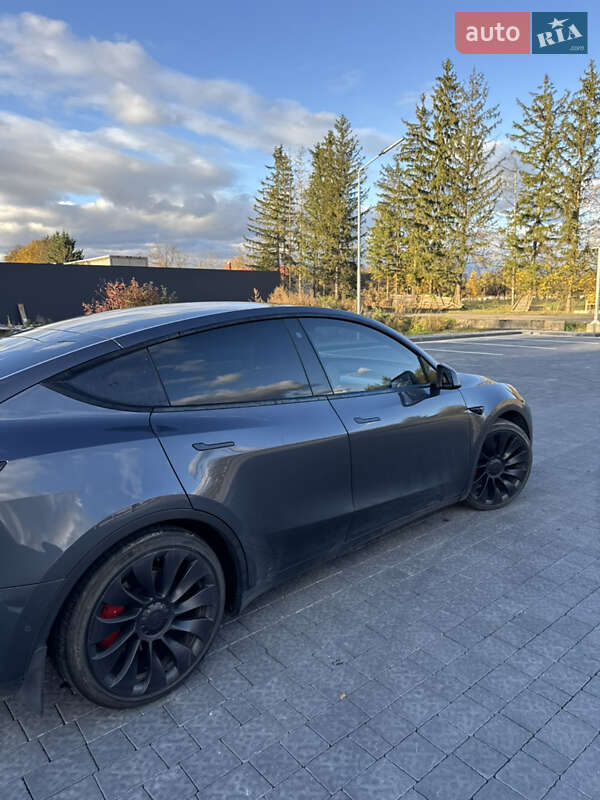 Позашляховик / Кросовер Tesla Model Y 2022 в Львові