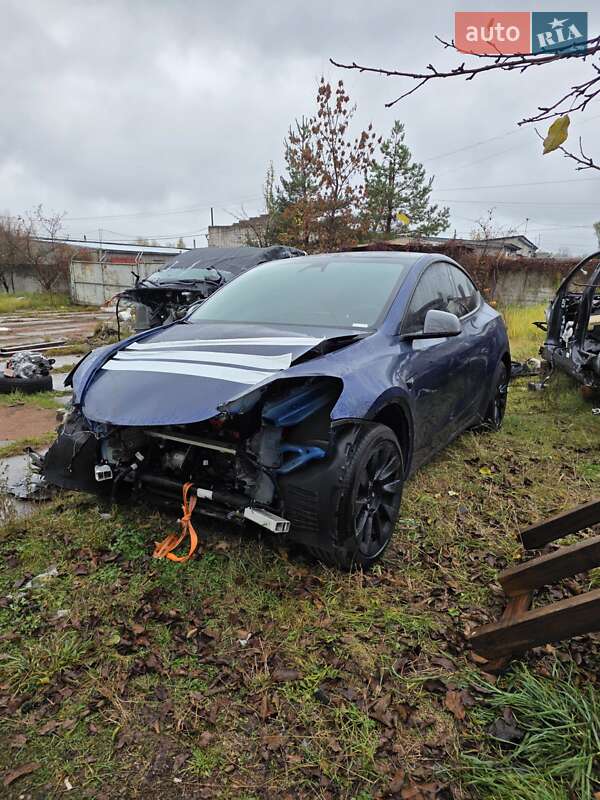 Внедорожник / Кроссовер Tesla Model Y 2024 в Коростене фото 11 Внедорожник / Кроссовер Tesla Model Y 2024 в Коростене
