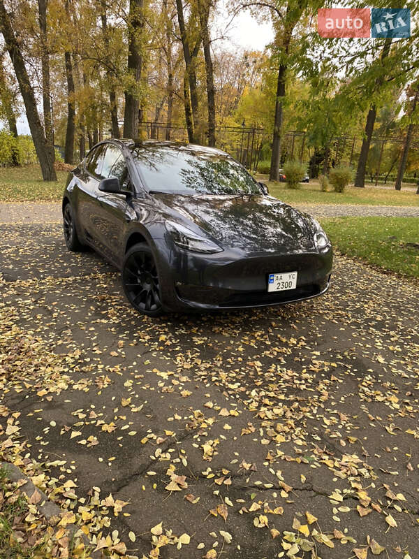 Позашляховик / Кросовер Tesla Model Y 2024 в Києві