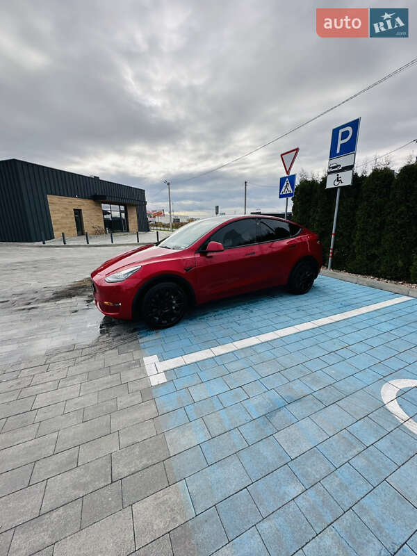 Внедорожник / Кроссовер Tesla Model Y 2021 в Луцке фото 5 Внедорожник / Кроссовер Tesla Model Y 2021 в Луцке