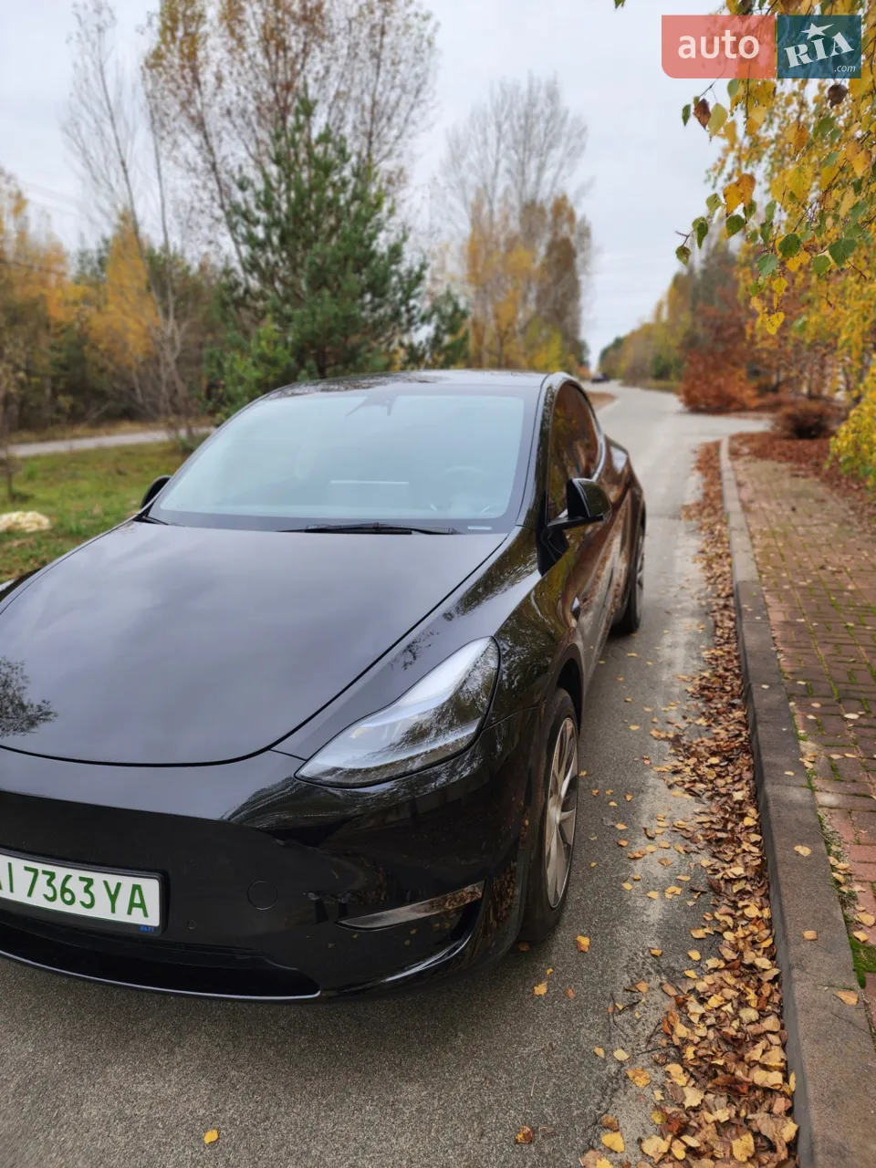 2021 Tesla Model Y - мініатюра 19