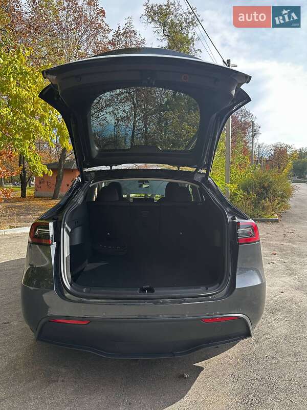 Внедорожник / Кроссовер Tesla Model Y 2021 в Каменском