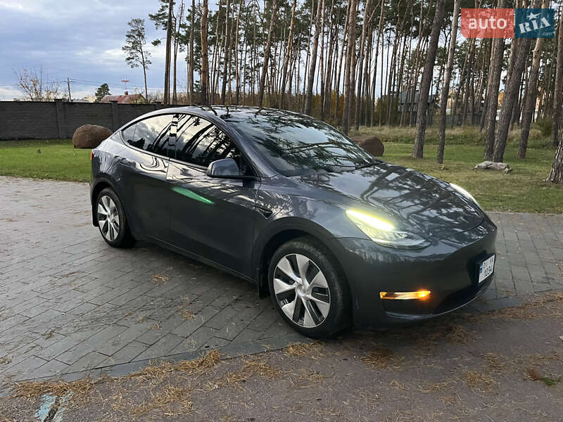 Позашляховик / Кросовер Tesla Model Y 2022 в Житомирі фото 22 Позашляховик / Кросовер Tesla Model Y 2022 в Житомирі