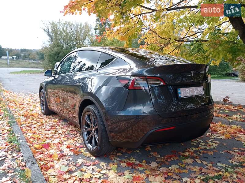 Внедорожник / Кроссовер Tesla Model Y 2024 в Ровно