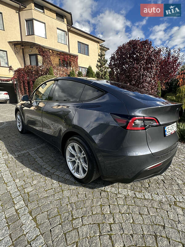 Внедорожник / Кроссовер Tesla Model Y 2023 в Черновцах