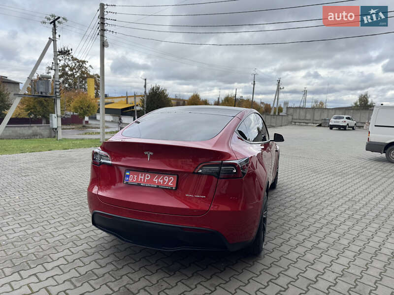 Позашляховик / Кросовер Tesla Model Y 2021 в Луцьку