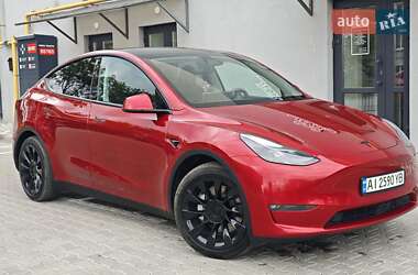 Позашляховик / Кросовер Tesla Model Y 2024 в Києві