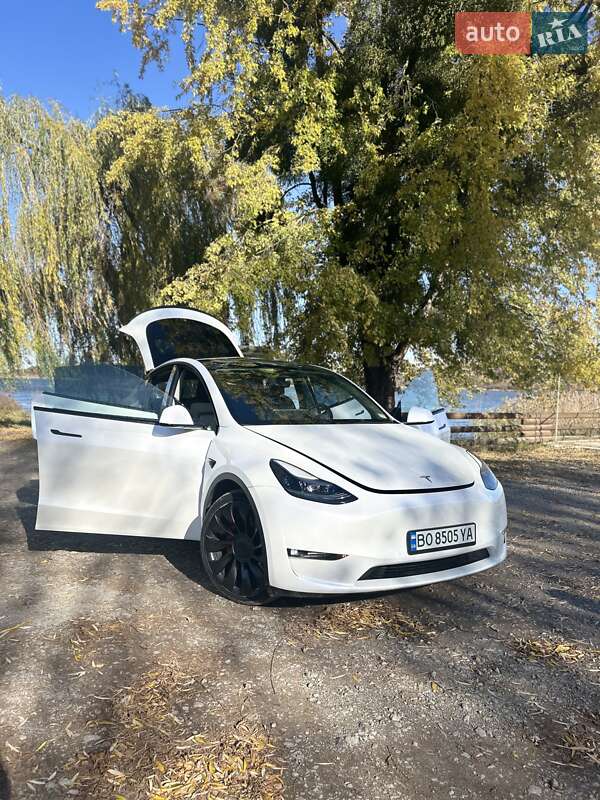 Внедорожник / Кроссовер Tesla Model Y 2022 в Бережанах