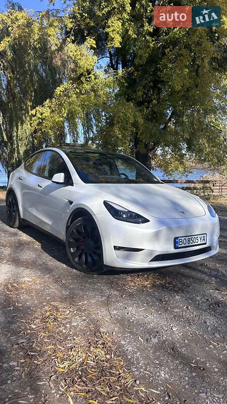 Внедорожник / Кроссовер Tesla Model Y 2022 в Бережанах
