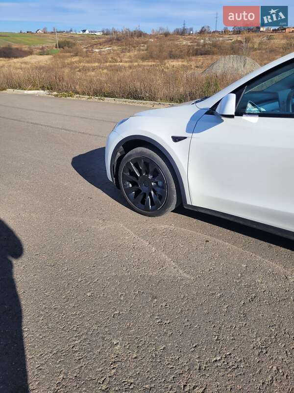 Позашляховик / Кросовер Tesla Model Y 2023 в Львові