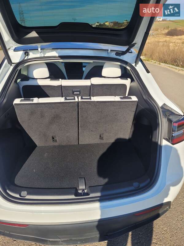 Позашляховик / Кросовер Tesla Model Y 2023 в Львові