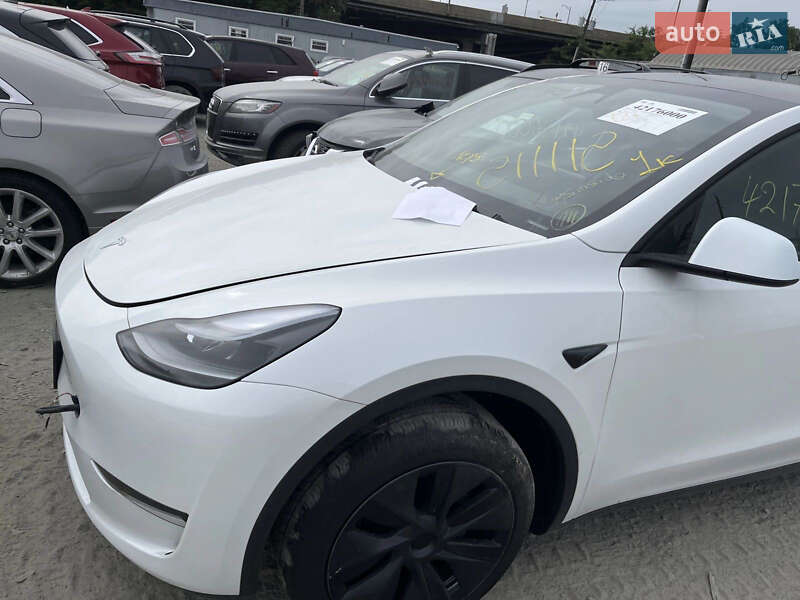 Внедорожник / Кроссовер Tesla Model Y 2024 в Жовкве