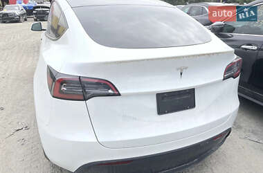 Внедорожник / Кроссовер Tesla Model Y 2024 в Жовкве