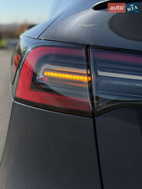 Внедорожник / Кроссовер Tesla Model Y 2021 в Шаргороде