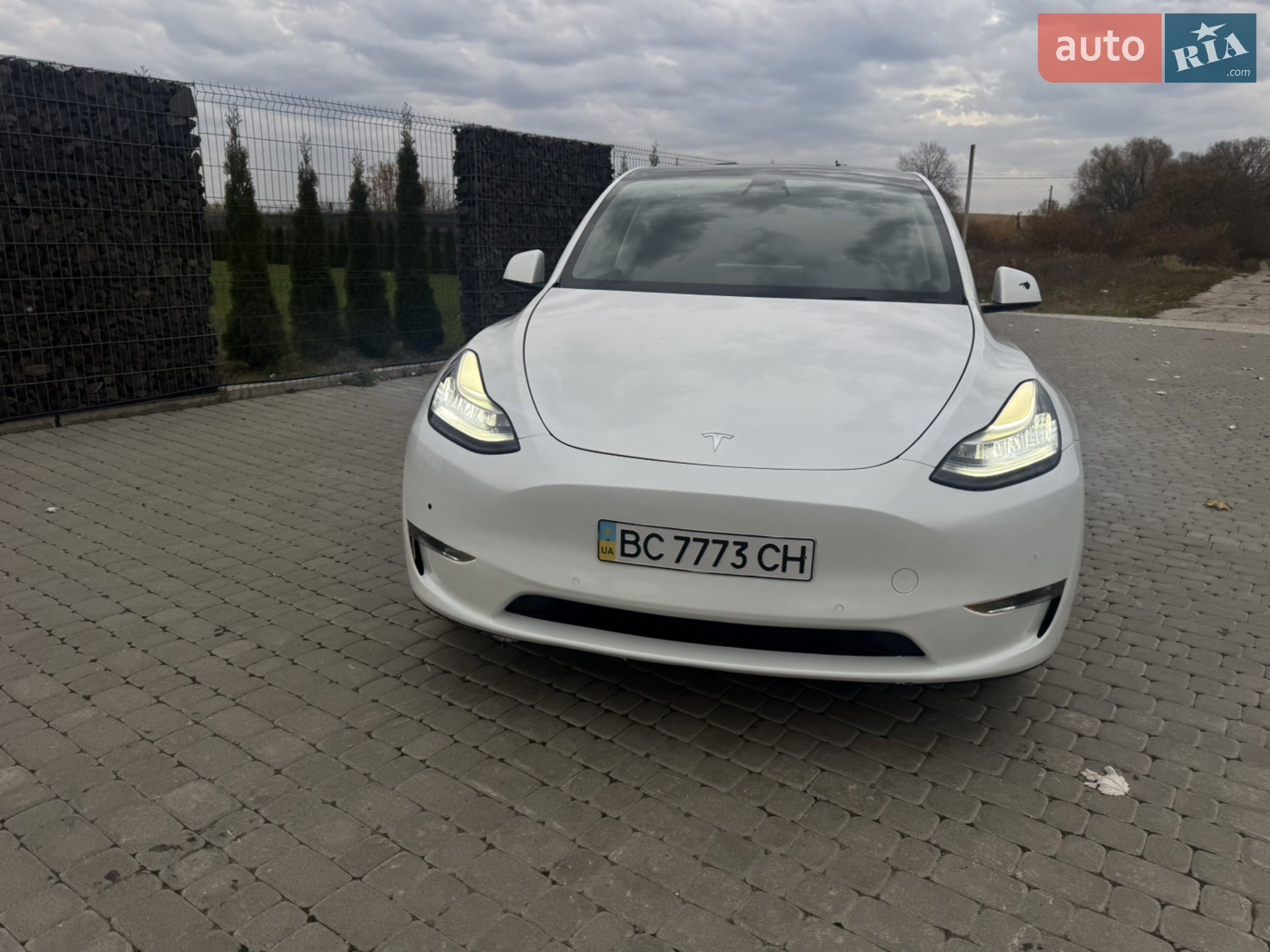 2020 Tesla Model Y - мініатюра 2