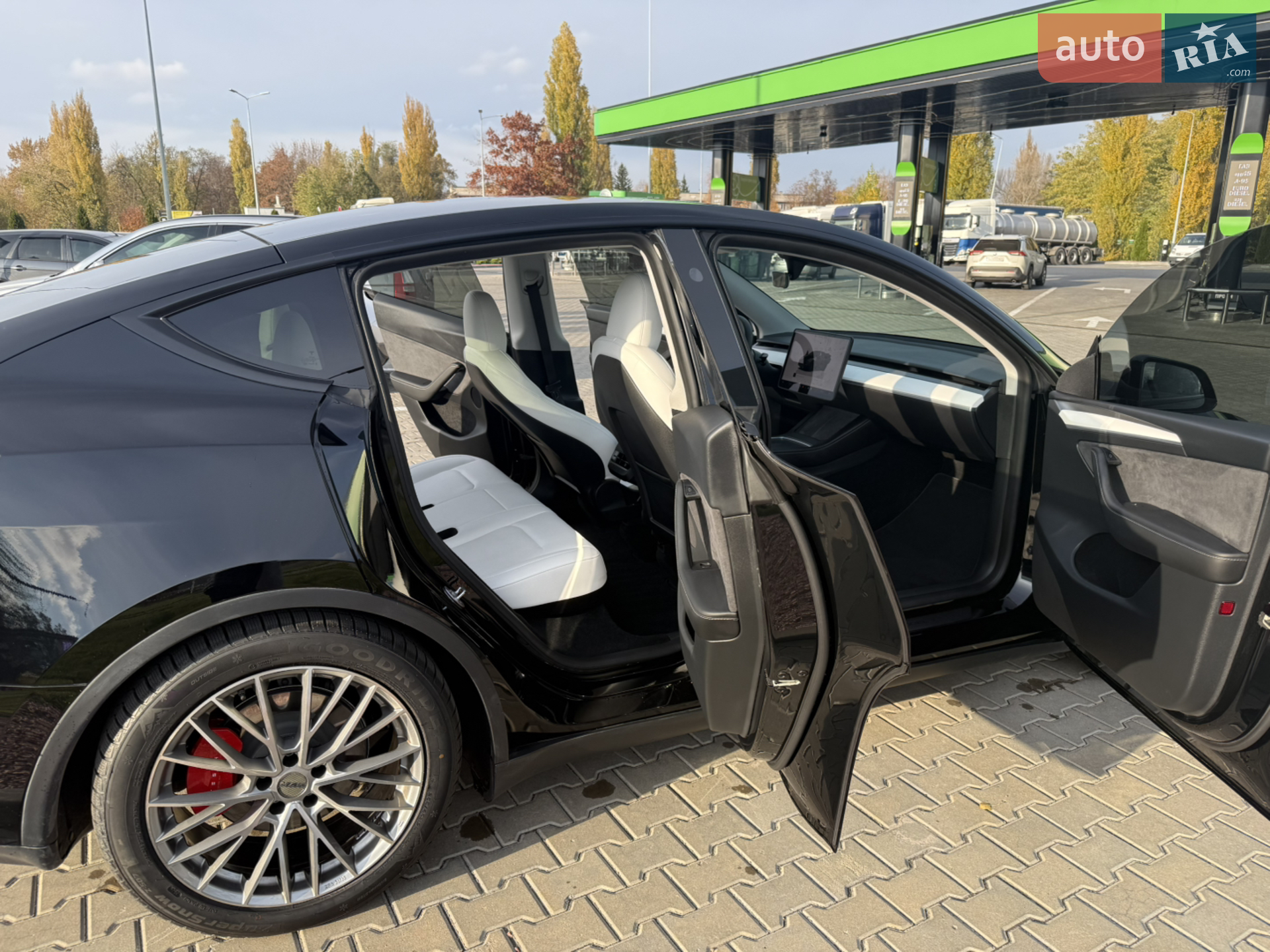 2023 Tesla Model Y - мініатюра 11
