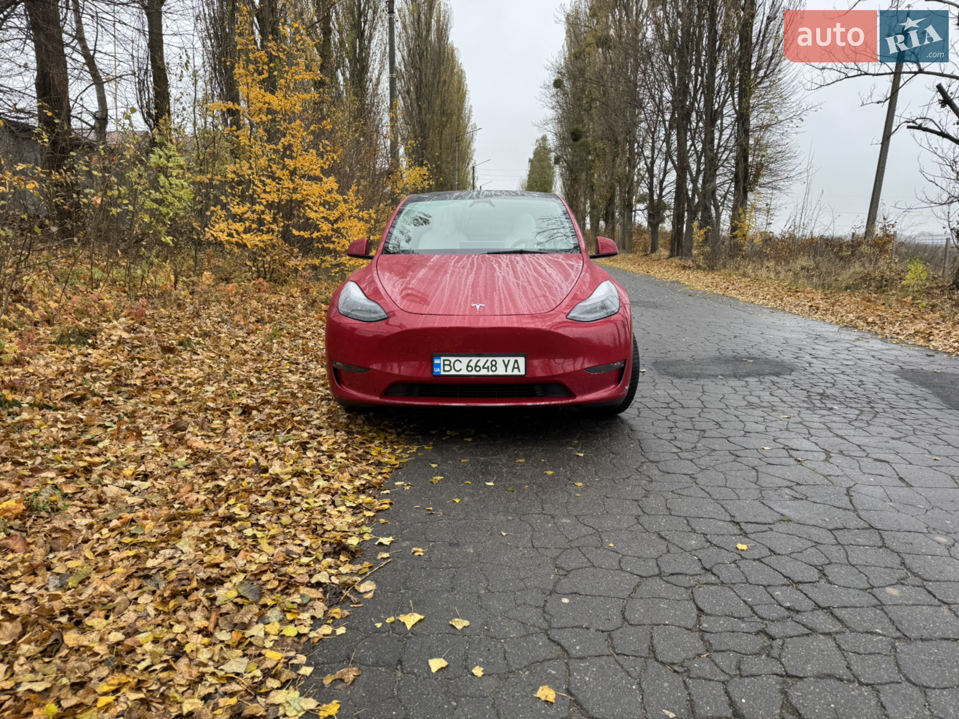 2023 Tesla Model Y - мініатюра 2