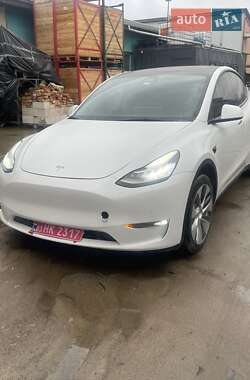 Внедорожник / Кроссовер Tesla Model Y 2022 в Ровно