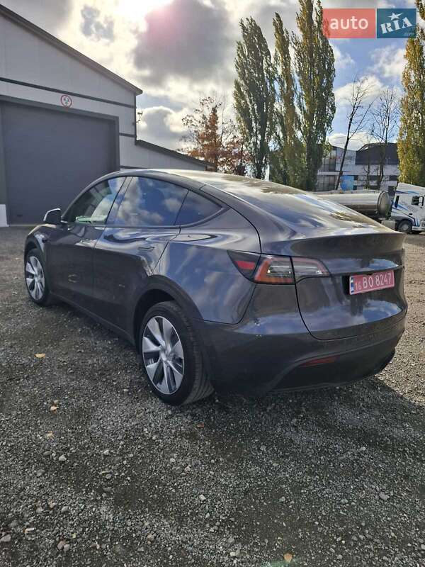 Внедорожник / Кроссовер Tesla Model Y 2023 в Тернополе