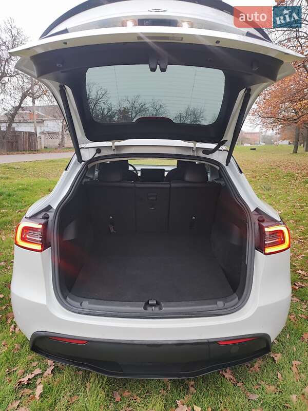 Позашляховик / Кросовер Tesla Model Y 2021 в Миколаєві фото 3 Позашляховик / Кросовер Tesla Model Y 2021 в Миколаєві