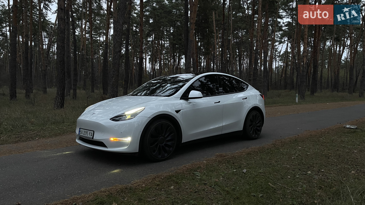 2021 Tesla Model Y - мініатюра 55