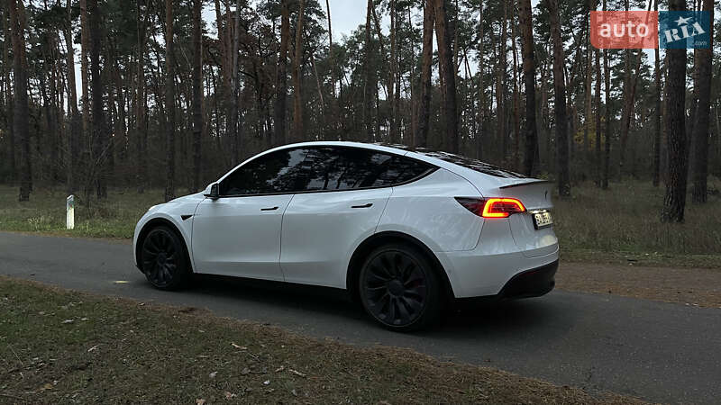 Позашляховик / Кросовер Tesla Model Y 2022 в Олександрівці