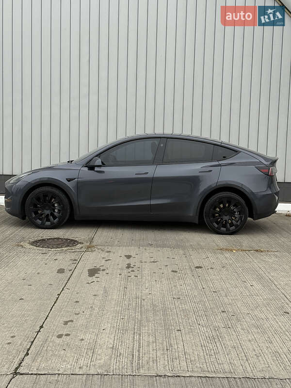 Внедорожник / Кроссовер Tesla Model Y 2023 в Черновцах