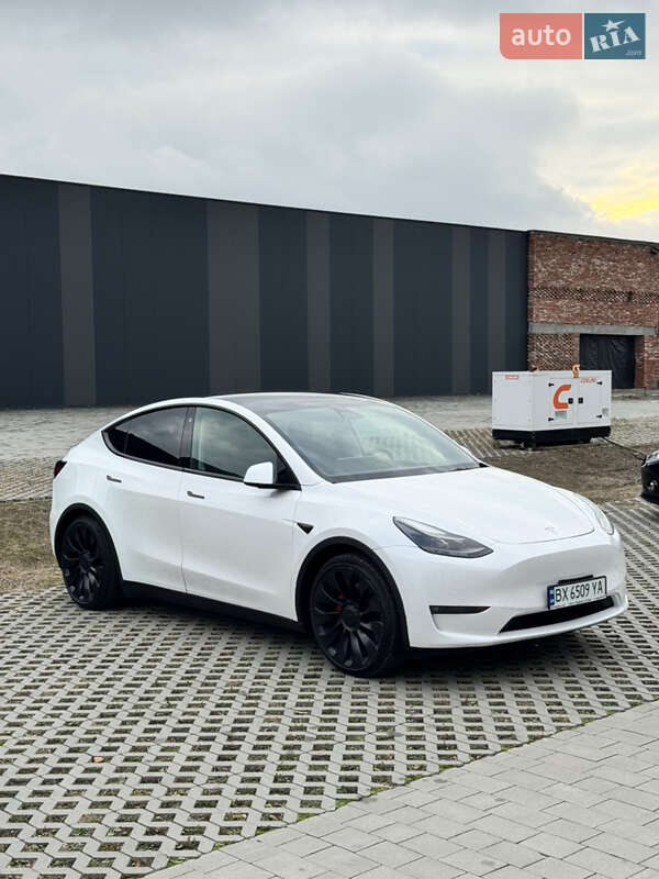 Внедорожник / Кроссовер Tesla Model Y 2022 в Хмельницком фото 11 Внедорожник / Кроссовер Tesla Model Y 2022 в Хмельницком