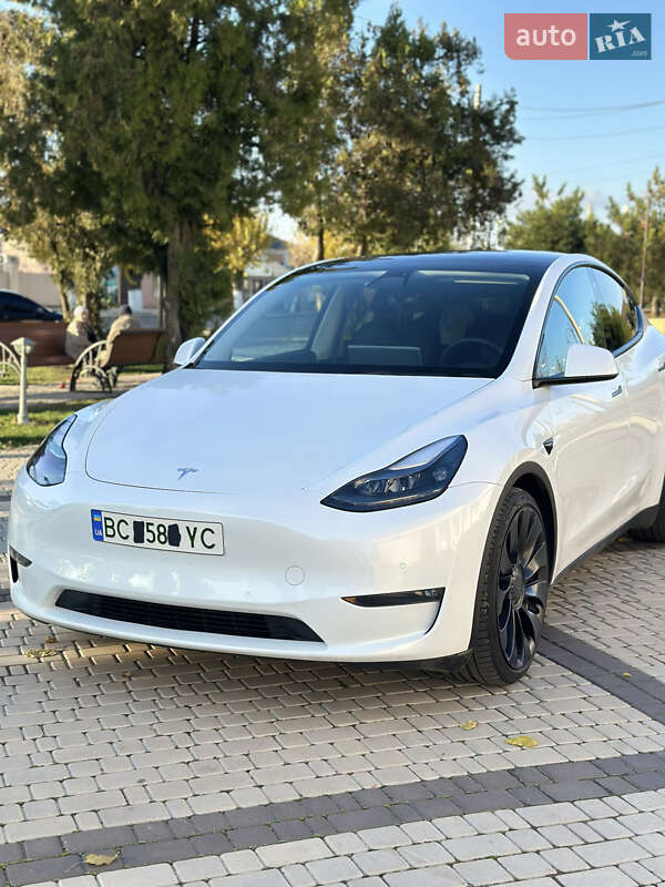 Позашляховик / Кросовер Tesla Model Y 2022 в Визирці фото 3 Позашляховик / Кросовер Tesla Model Y 2022 в Визирці