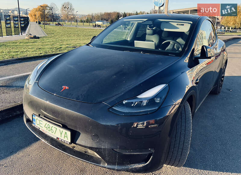Внедорожник / Кроссовер Tesla Model Y 2024 в Черновцах фото 2 Внедорожник / Кроссовер Tesla Model Y 2024 в Черновцах