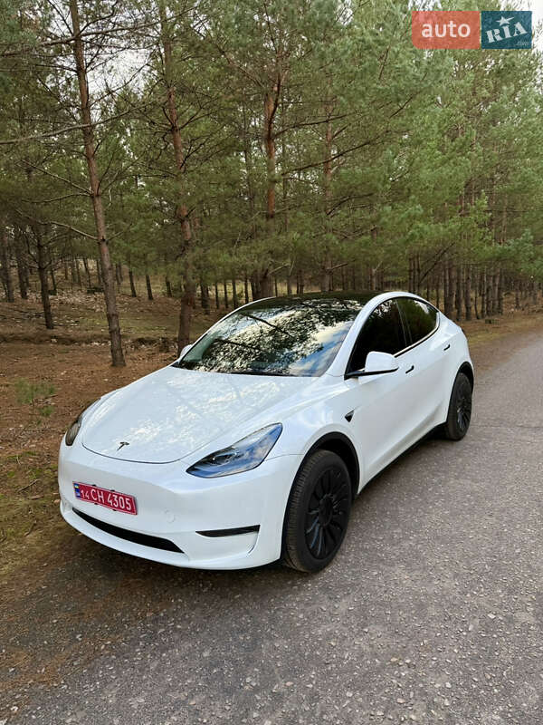 Позашляховик / Кросовер Tesla Model Y 2024 в Києві