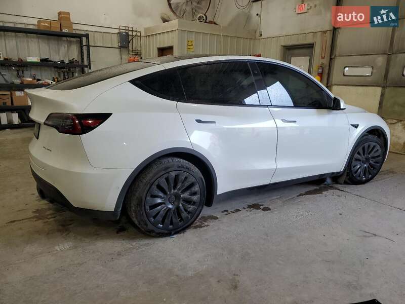 Внедорожник / Кроссовер Tesla Model Y 2020 в Запорожье