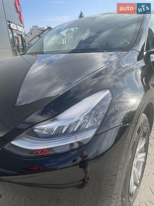 Позашляховик / Кросовер Tesla Model Y 2021 в Золочеві