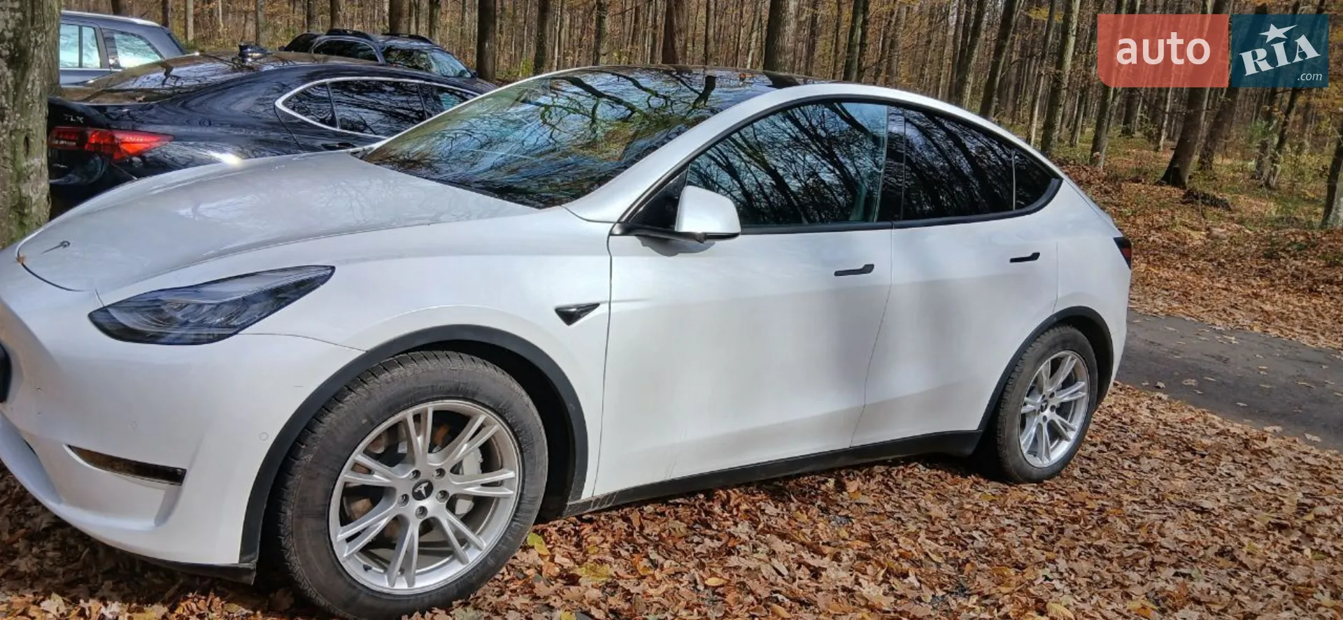 2020 Tesla Model Y - мініатюра 7