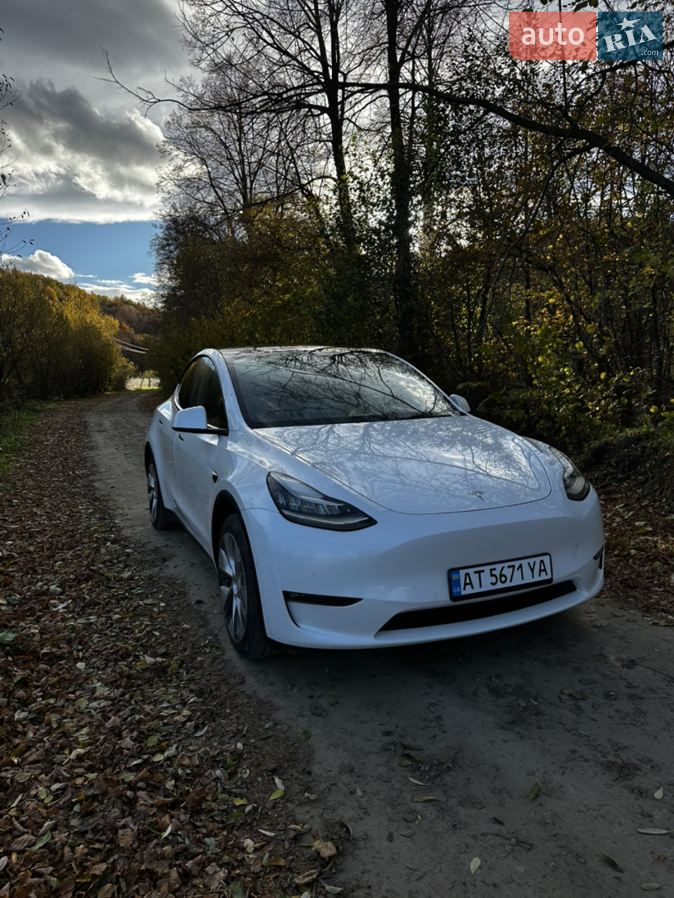 2023 Tesla Model Y - мініатюра 22