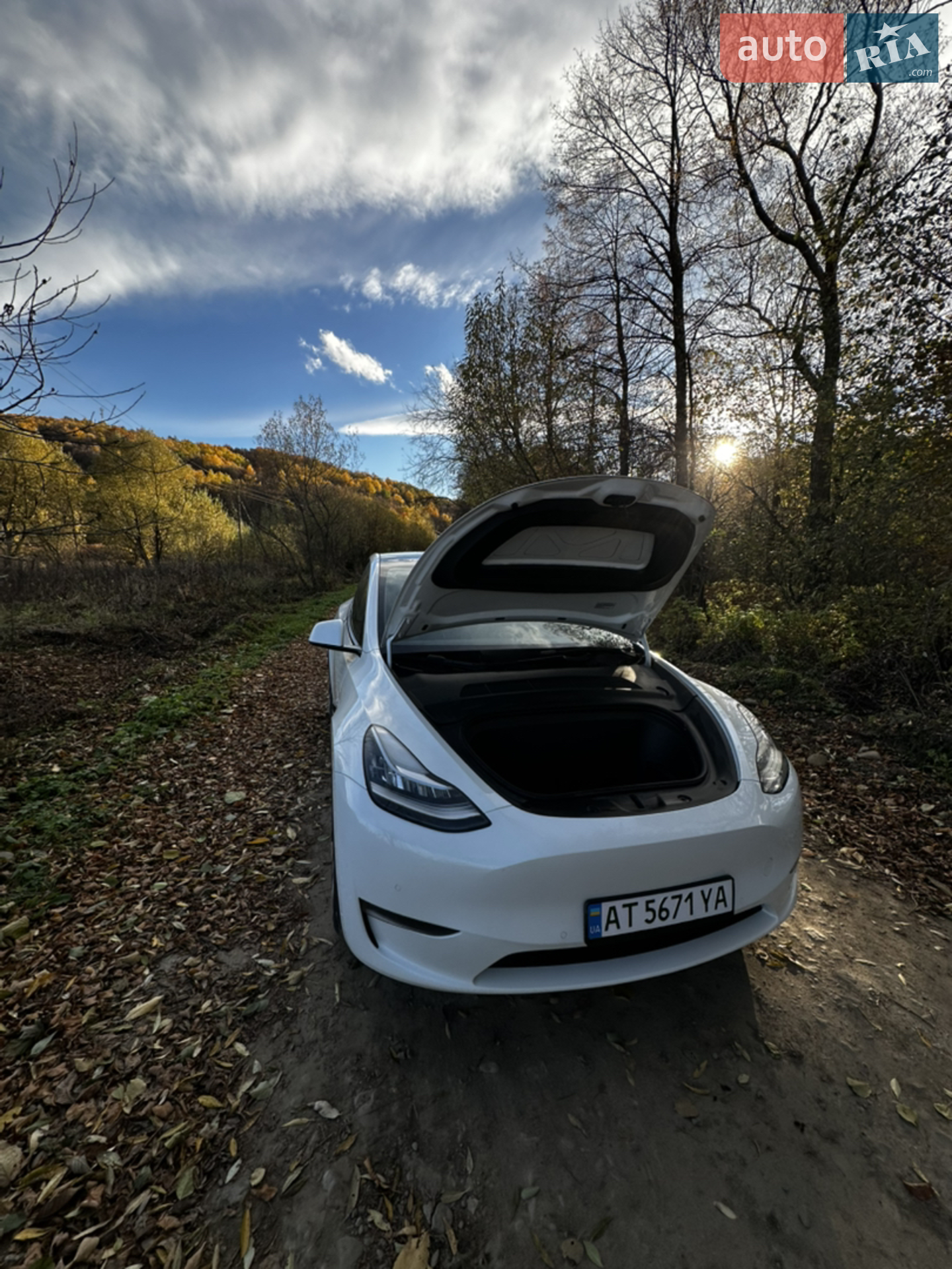 2022 Tesla Model Y - мініатюра 8