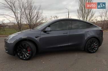 Внедорожник / Кроссовер Tesla Model Y 2023 в Кривом Роге