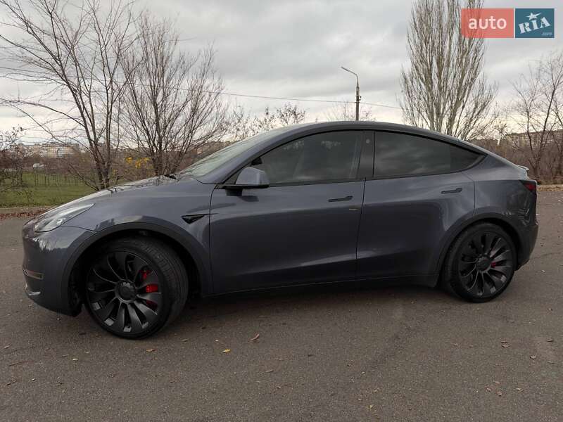 Внедорожник / Кроссовер Tesla Model Y 2023 в Кривом Роге