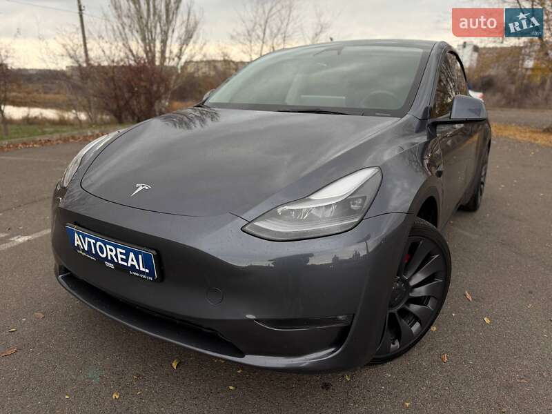 Внедорожник / Кроссовер Tesla Model Y 2023 в Кривом Роге