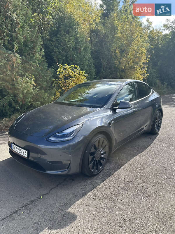 Внедорожник / Кроссовер Tesla Model Y 2020 в Ровно