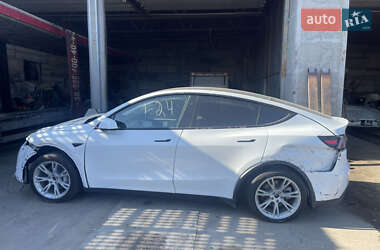 Позашляховик / Кросовер Tesla Model Y 2024 в Харкові