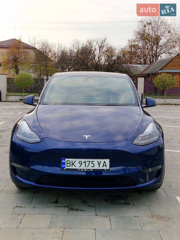Позашляховик / Кросовер Tesla Model Y 2023 в Рівному